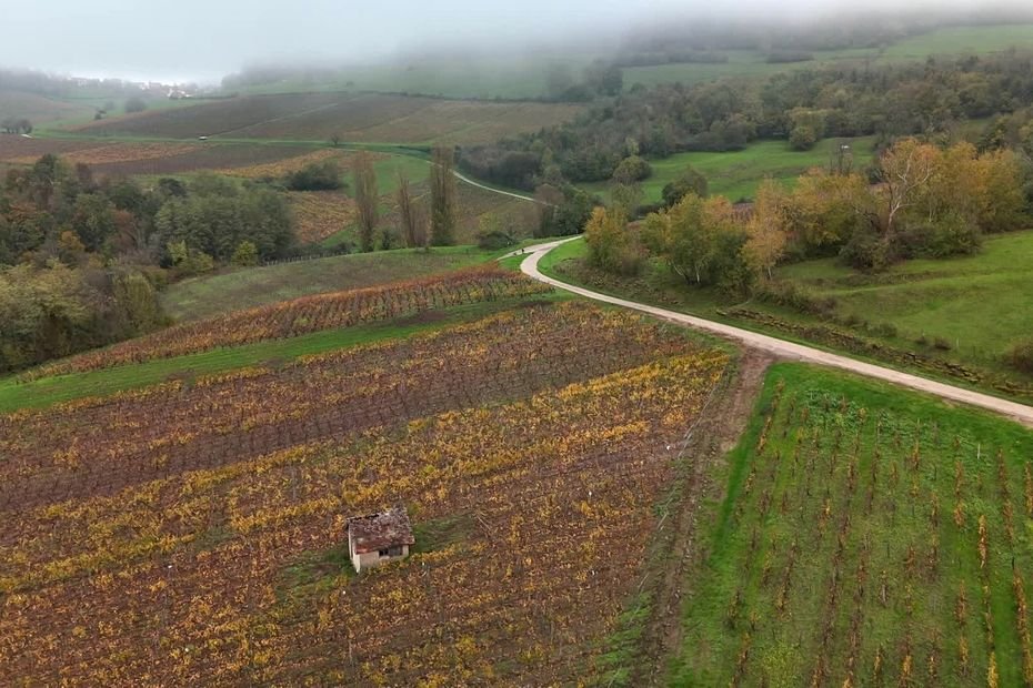 « Vinifier le vin à notre identité » : le Crémant du Jura a fêté ses 30 ans d&rsquo;existence, sa production en hausse