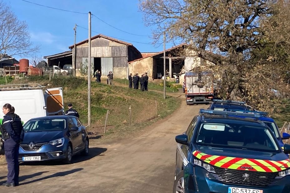 Dermatose nodulaire : un nouveau cas confirmé en Haute-Garonne, le virus progresse malgré les abattages