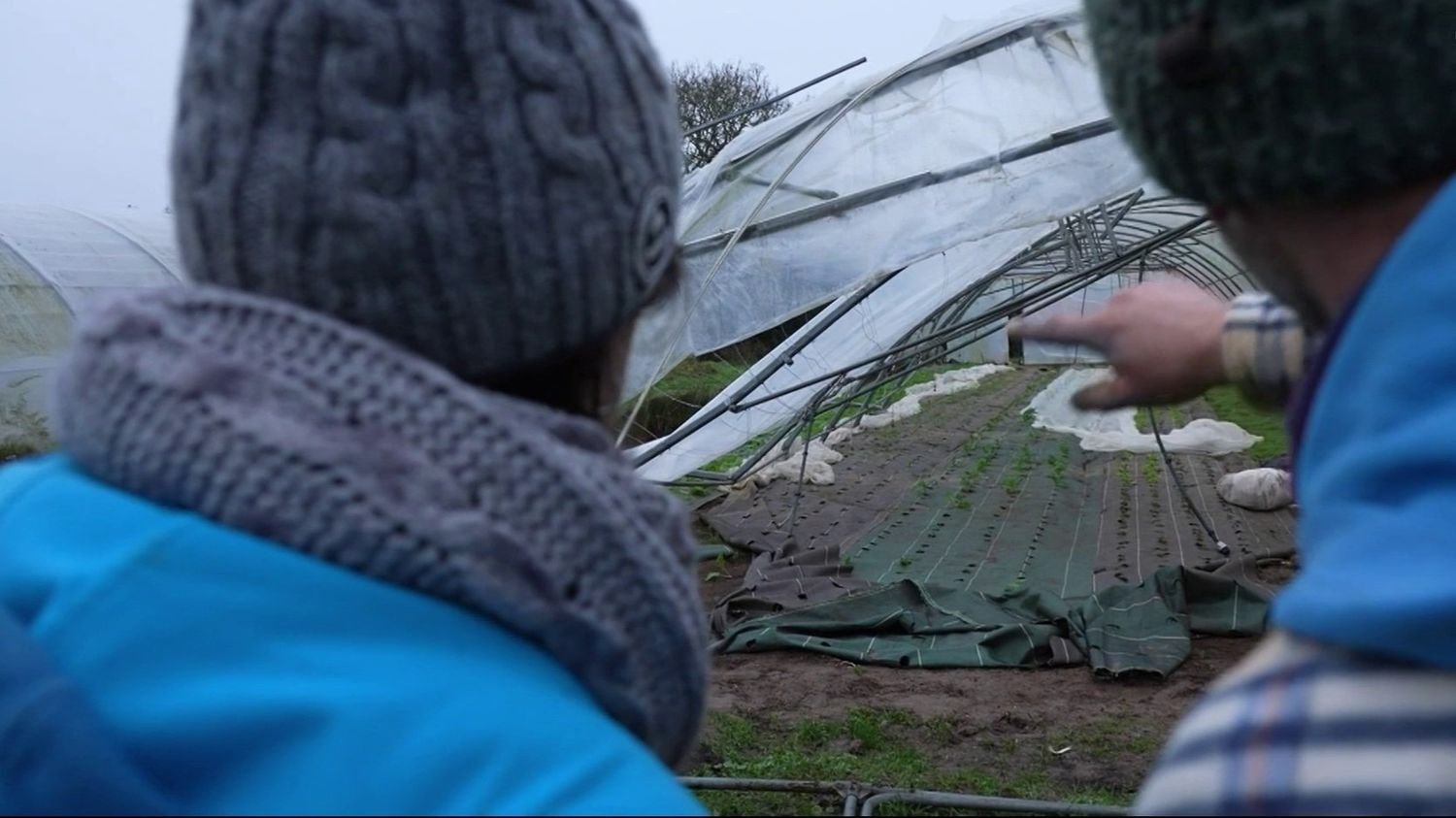 Serres détruites, pommiers déracinés… Les maraîchers normands déplorent les dégâts après le passage de la tempête Goretti