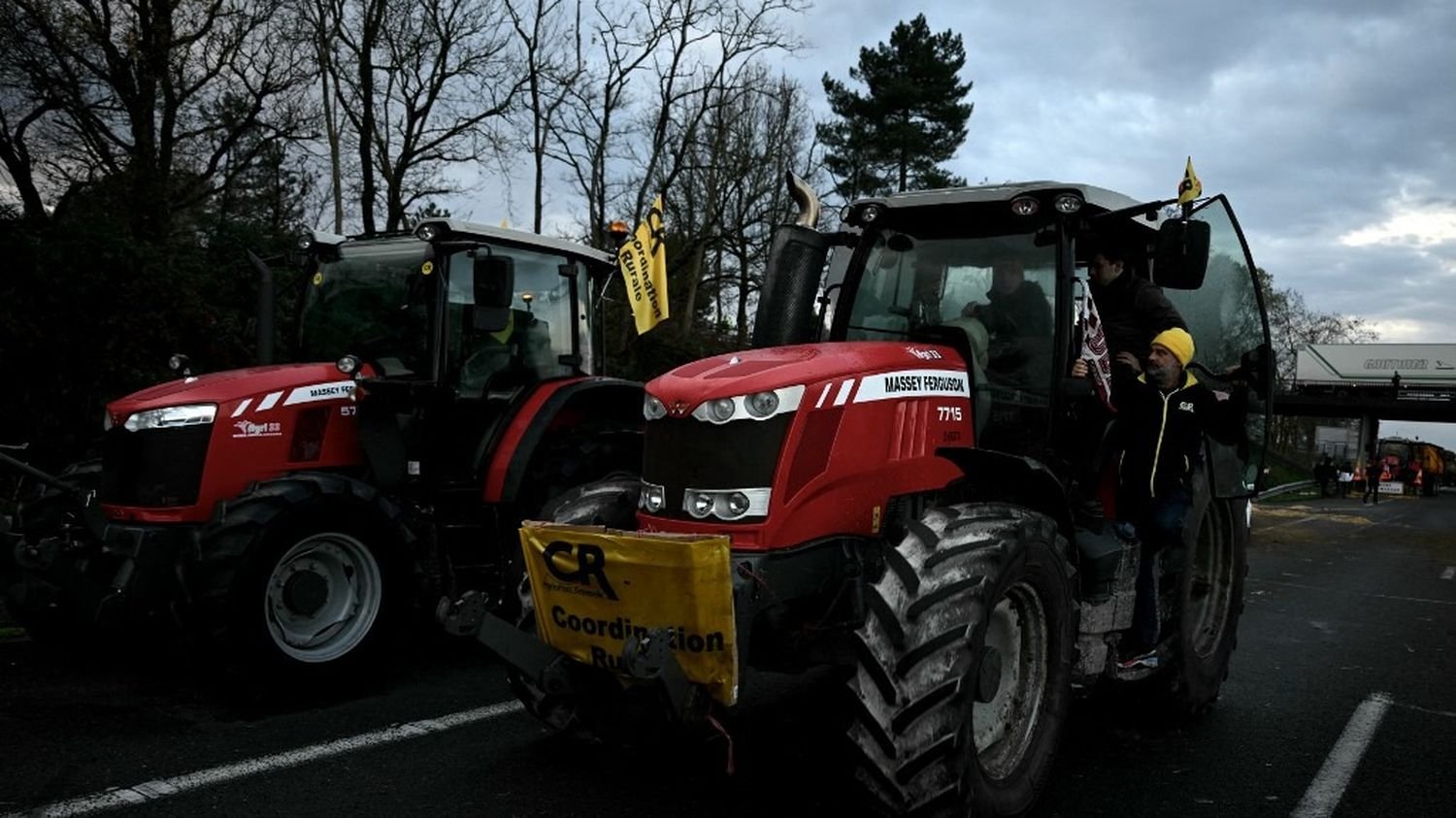 Dermatose nodulaire : le point sur les actions en cours région par région ce vendredi