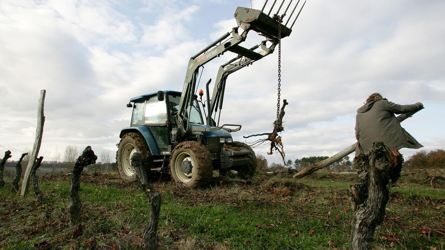 Plan de 130 millions d’euros pour l’arrachage de vignes : « Nous saluons le plan annoncé », réagit le président de la Chambre d’agriculture de l’Hérault