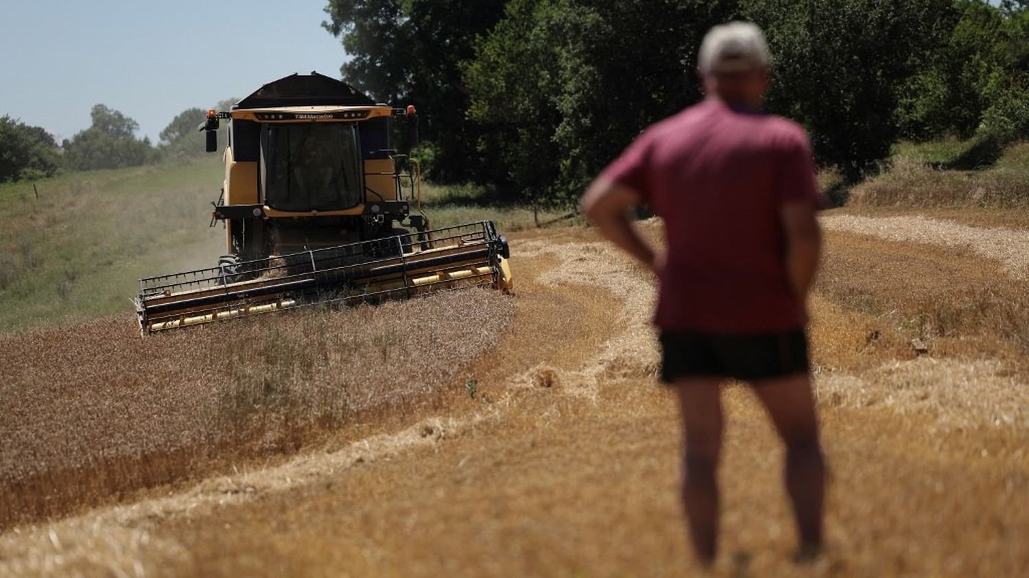 « C’est complètement insupportable » : les céréaliers redoutent une flambée des prix des engrais liée à la nouvelle taxe carbone aux frontières