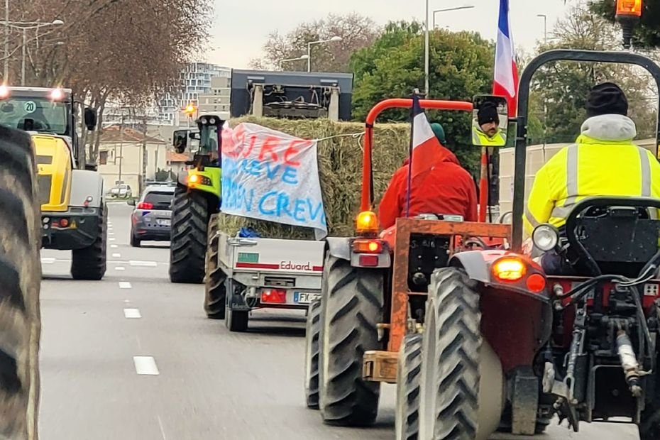 « Il n&rsquo;y a plus rien qui va » : le « ras-le-bol » des agriculteurs des Alpes-Maritimes