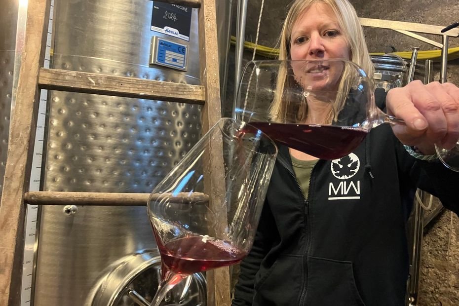 Vendanges : L’AOC Moselle signe sa meilleure année depuis trois ans