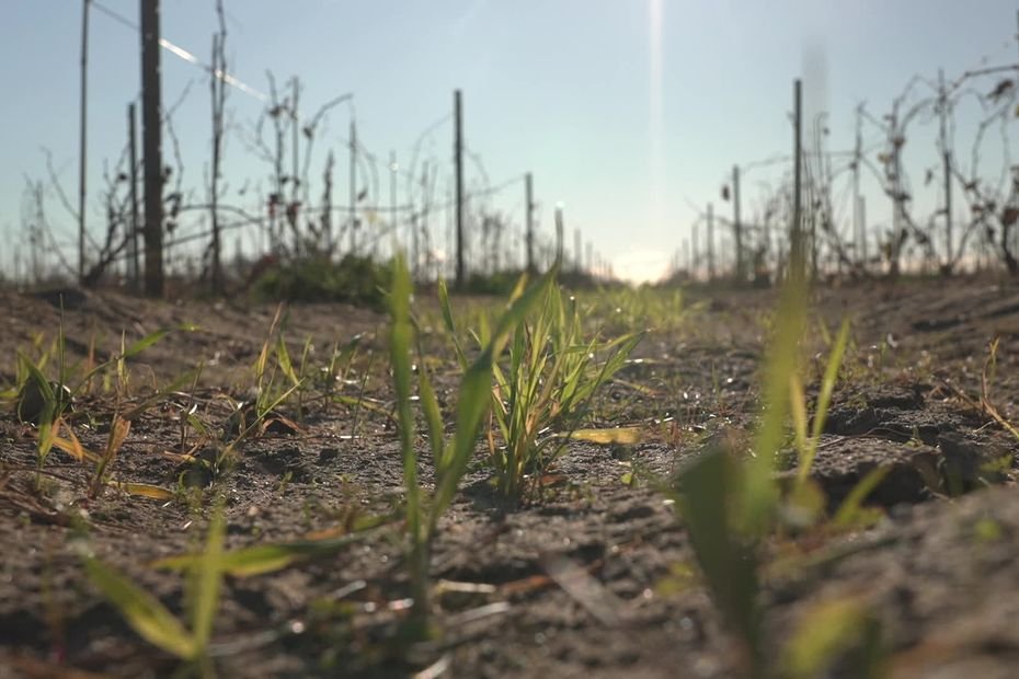 « Une arène et un espace d’écoute » : les menaces du sel, plus d’un an de recherches et de rencontres pour un faux procès mais vrai débat