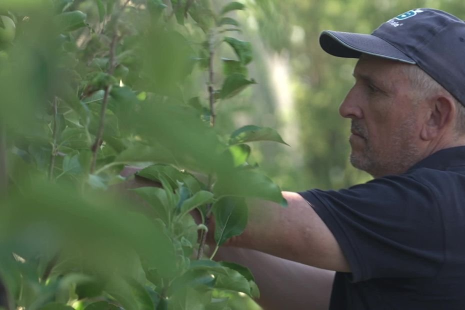 « Quand on vous dit que vous donnez des cancers, c’est invivable » : la loi Duplomb censurée, les réactions chez les agriculteurs