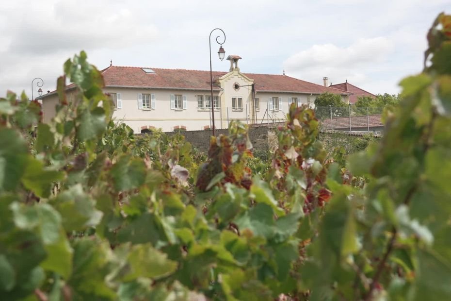Dans le Beaujolais, les enfants sont particulièrement exposés aux pesticides, » alors que c’est la cible la plus vulnérable »