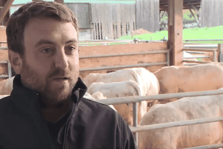 « On paye les conséquences d’une minorité qui n’a pas joué le jeu » : les éleveurs ne peuvent plus exporter leurs bovins à l’étranger