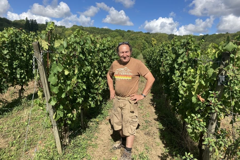 « Un vent de liberté dans nos pratiques », le vin d’un vigneron francilien distingué pour la première fois