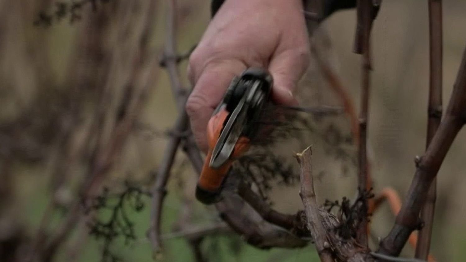 Colère des agriculteurs : « Peut-être qu&rsquo;on va partir, faire autre chose », dans le Gers, le désespoir de certains paysans face aux difficultés de la profession