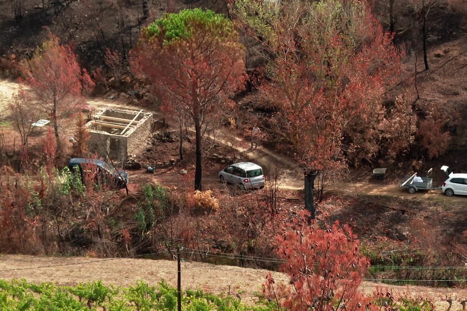 Incendie dans l’Aude : « Tout est à refaire », comment la solidarité se met en place pour redonner vie au massif des Corbières