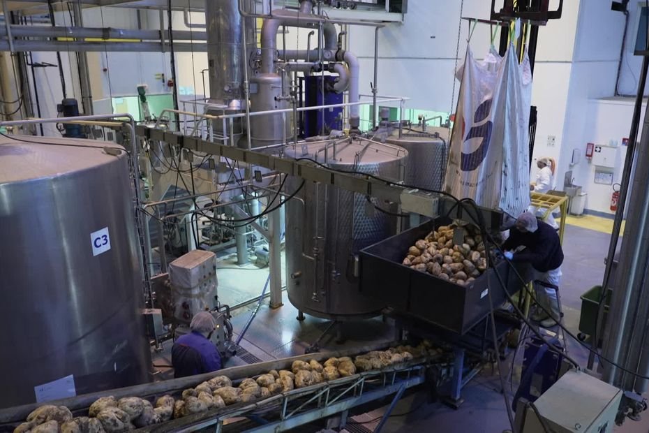 « C&rsquo;est un produit qui n&rsquo;existe pas sur le marché actuellement » : des agriculteurs produisent du sucre de betterave bio et brut dans une usine bas carbone