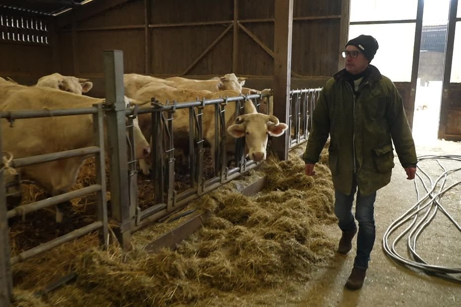 Salon de l’agriculture 2026 : les éleveurs présents sans leurs animaux ?