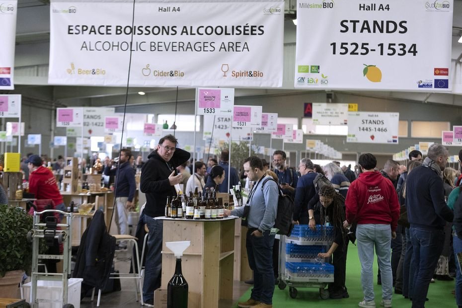 Millésime bio : consommation en hausse, inquiétudes de la filière, ces questions avant l&rsquo;ouverture du plus grand salon mondial du vin biologique