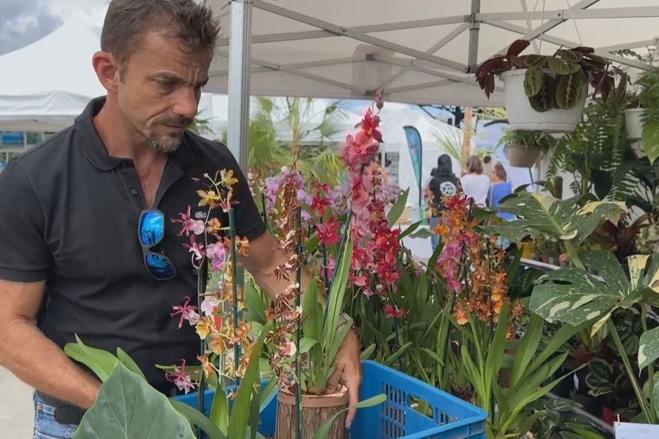 2ème édition du salon « Nou lé local » : une vitrine pour les productions réunionnaises