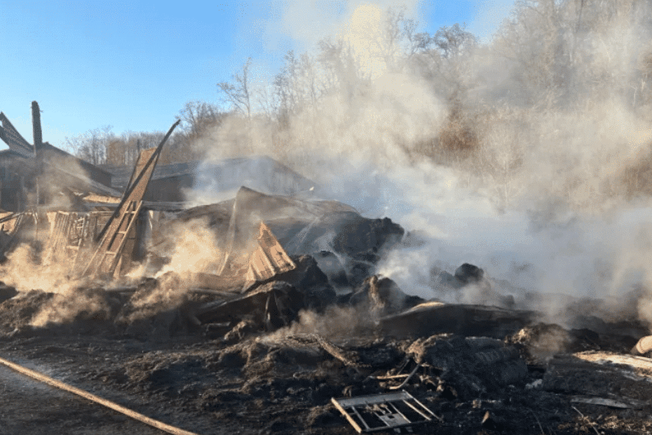 « J’ai perdu la moitié de ma ferme » : après l’incendie de son bâtiment agricole, ce jeune agriculteur lance une cagnotte en ligne