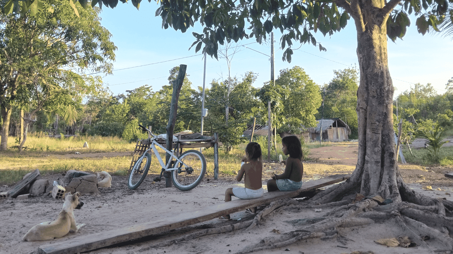 « La sécheresse tue notre forêt » : une autochtone de la forêt amazonienne appelle au secours la COP30