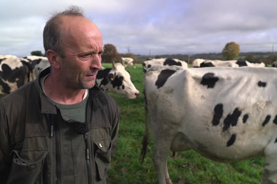 TÉMOIGNAGE. « Je n’ai pas le droit de tout perdre » : cet éleveur risque l’abattage de son troupeau à cause d’un cas de tuberculose bovine