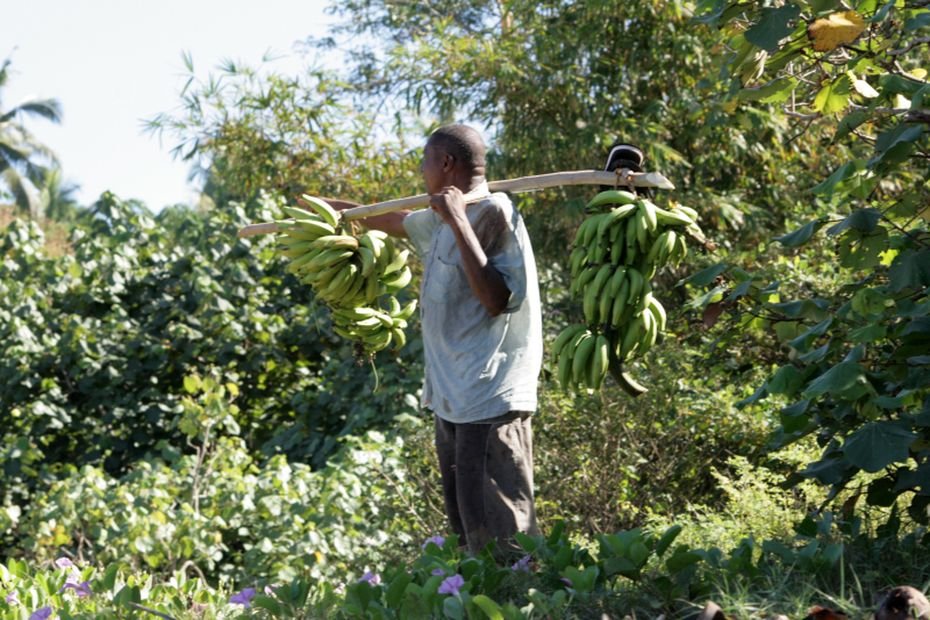 La MSA Armorique-Mayotte part à la rencontre des agriculteurs sur tout le territoire en novembre