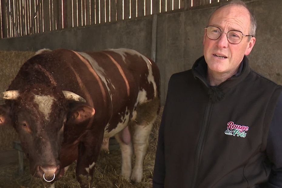 Dermatose nodulaire. « Fanfaronner à Paris, le moral n’y aurait pas été », les éleveurs bovins privés de salon de l’agriculture