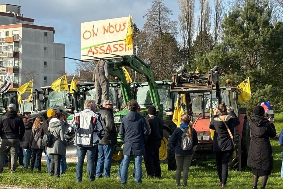 « Mercosur, la mort à coup sûr ! » La Coordination rurale manifeste à Brest