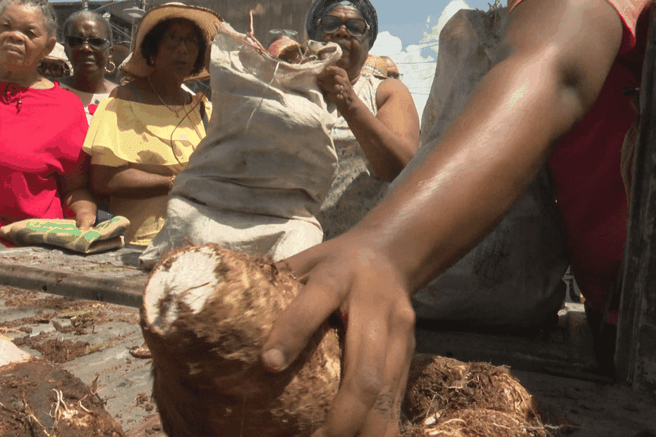 « Ici, pas de pesticides », le festival de la dachine bat des records de vente au Morne-Rouge