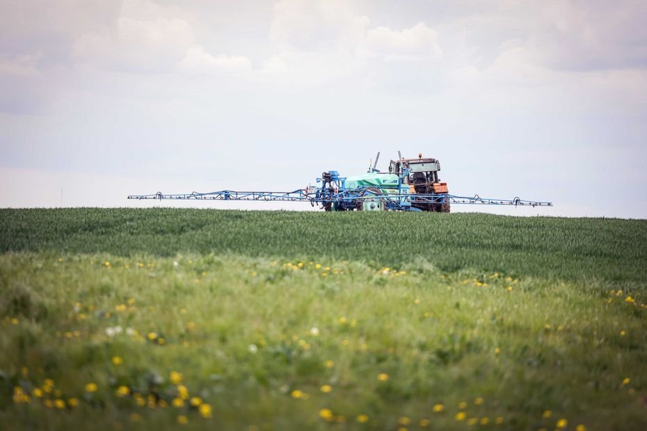 Censure partielle de la Loi Duplomb : « les personnes qui ont signé la pétition doivent assumer de voir disparaître une production locale », les betteraviers en colère
