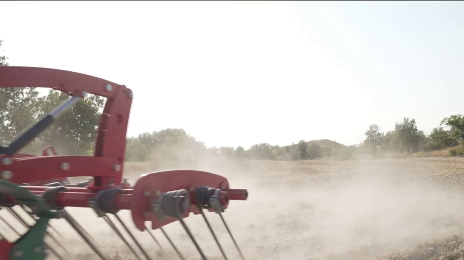 Canicule : les agriculteurs en première ligne