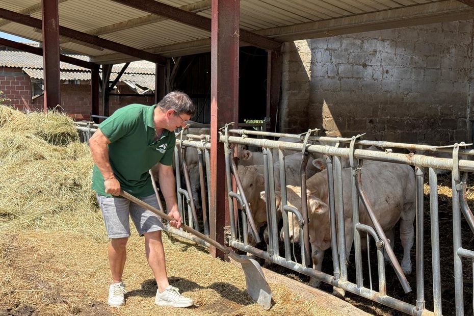 « On a l’impression de jouer au rugby à 13 contre 15 » : les agriculteurs divisés après la censure de la loi Duplomb