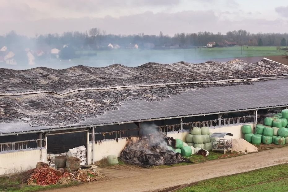La ferme brûle, 40 vaches succombent : la solidarité s’organise… mais le traumatisme demeure, « la phase suivante va être compliquée »