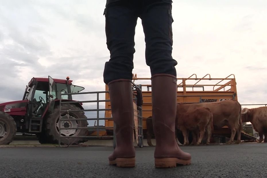 « On arrête les conneries » : des agriculteurs claquent la porte d&rsquo;une réunion scientifique destinée à comprendre le protocole de lutte contre la DNC