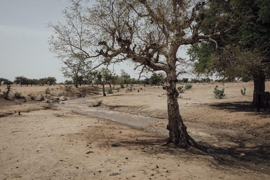 Parti sans guide et sans eau dans une zone dangereuse du Tchad : un homme de 70 ans, originaire de Dijon, porté disparu