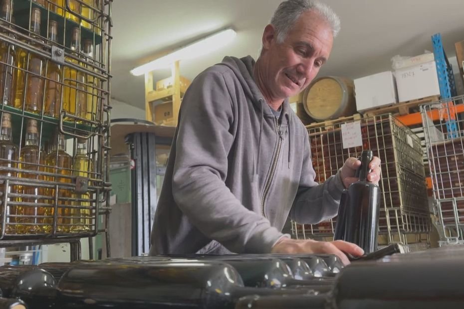REPORTAGE. Vin rouge de Cilaos : la cuvée 2025 marque le grand retour après 13 ans d’absence
