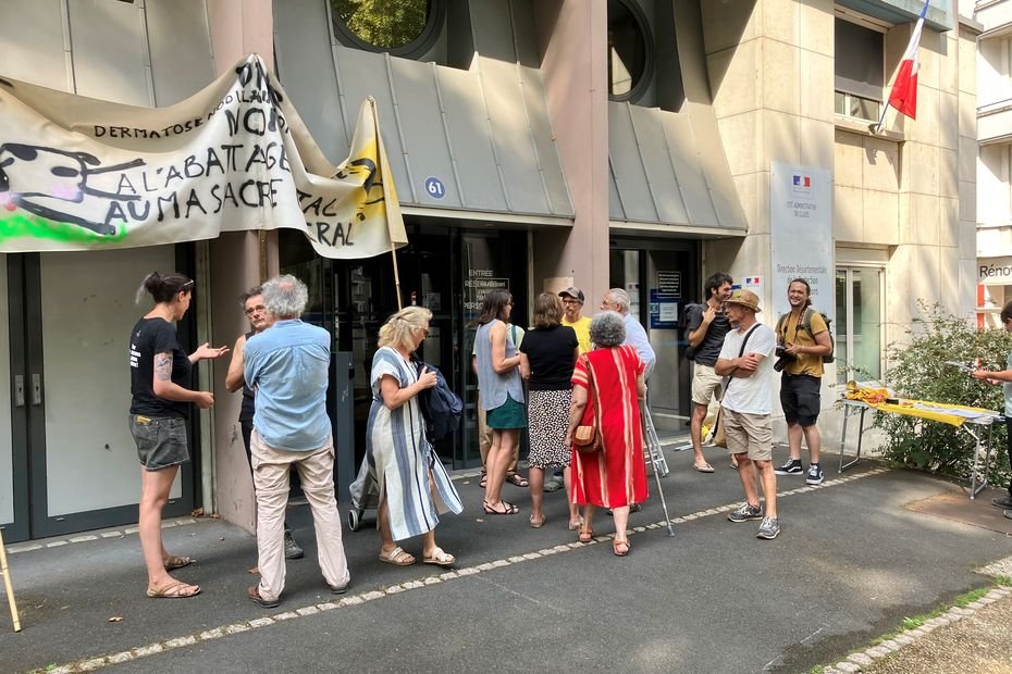 « Dès qu’il y a maladie, on tire sur tout ce qui bouge » : la Confédération paysanne lutte contre l’abattage systématique des troupeaux