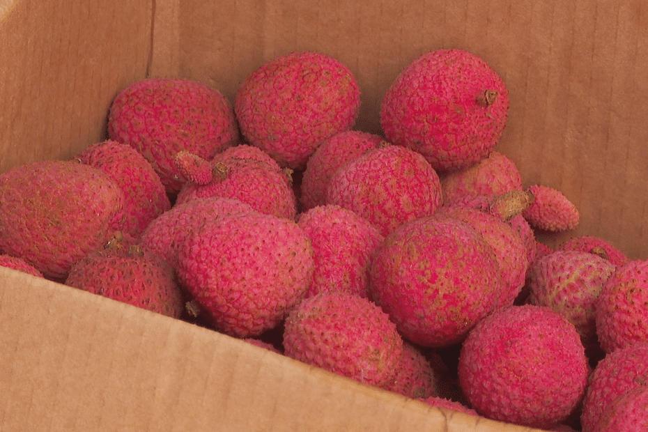 Les fruits des îles débarquent à Tahiti pour les fêtes