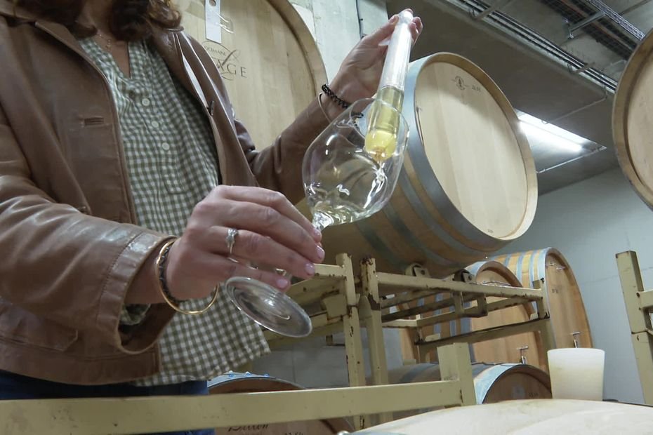 « Éviter un passage devenu trop coûteux » : comment les professionnels du vin s’adaptent aux taxes de Donald Trump