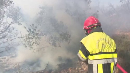 Incendie dans les Alpilles : les pompiers ont maîtrisé le feu