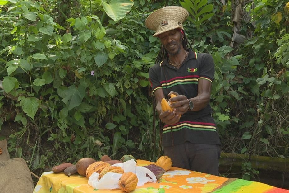 VIDEO. Pâques, l’occasion de consommer du cacao des producteurs de Martinique
