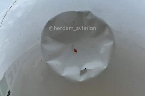 AVIONS. Le nez d'un Airbus A321 heurté par un oiseau est complètement déformé avant l'atterrissage, l'appareil arrive à se poser