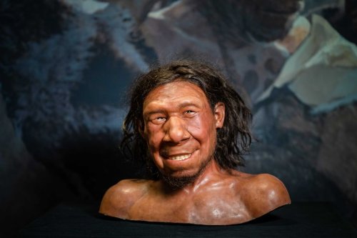ENTRETIEN. "L'extinction de Néandertal pourrait se rapporter à notre propre future extinction", pour l'archéologue Ludovic Slimak