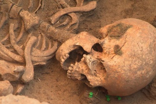 VIDEO. Des squelettes découverts après des fouilles exceptionnelles dans le centre de Tours