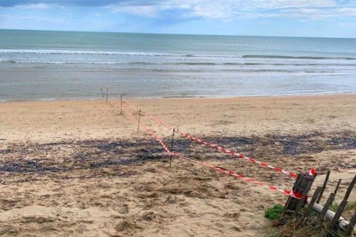 "Entre cinq et sept objets enfouis découverts", plusieurs obus de la Seconde Guerre mondiale apparaissent sur une plage après la tempête