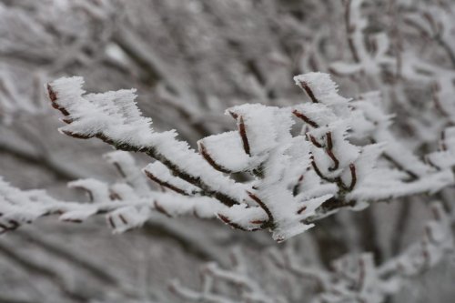 "Jusqu’à 40 centimètres en haute montagne" : la neige de retour dans les Alpes ce week-end