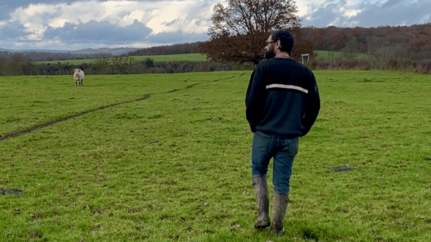 : Témoignage Colère des agriculteurs : « Ce ne sont pas les normes qui tuent les paysans, c’est le manque de revenu », selon un éleveur membre de la Confédération paysanne