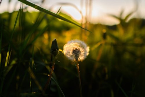 Météo Nouvelle-Aquitaine : encore de l'instabilité pour ce mardi 13 mai