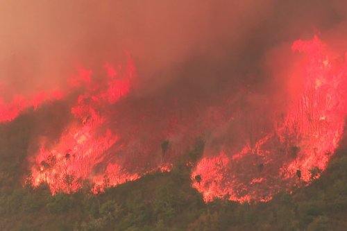 Feux près du Lac de Vouglans, Jura : Des flammes toujours actives mais des incendies désormais fixés, le point sur le 4e jour