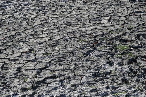 Sécheresse. Après un été 2022 de tous les records, quelles solutions pour avoir assez d’eau potable ?