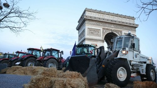 Colère des agriculteurs : "Dans quel pays on vit ? Ça devient du grand n'importe quoi !", réagit la Coordination rurale après l'interpellation de 66 personnes place de l'Etoile à Paris