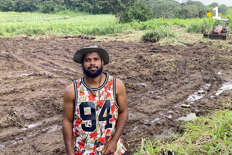 Au Morne-Rouge, l’agriculteur Xavier Terrine défie la chlordécone et crée un verger d’avenir