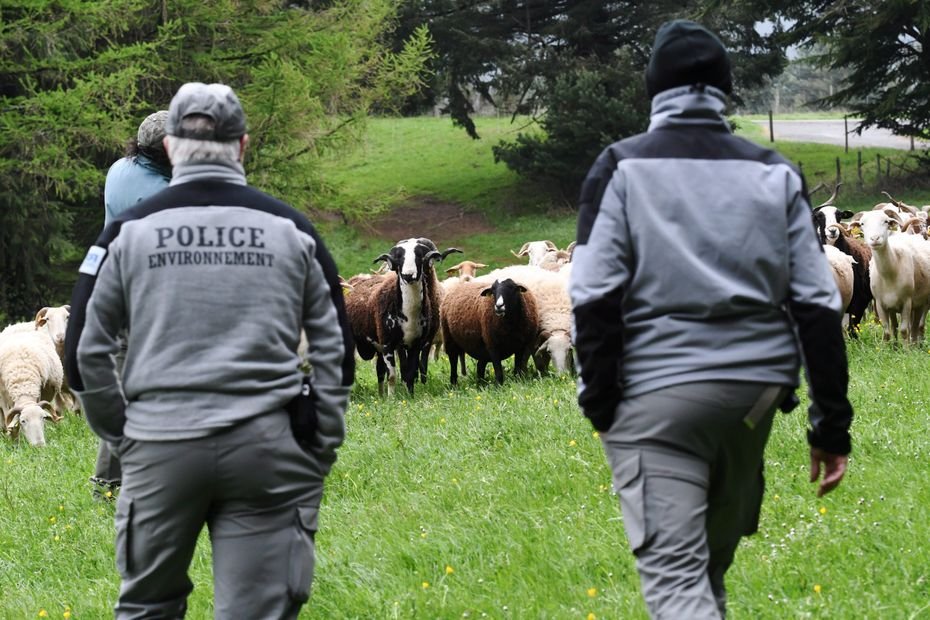 Attaques contre la police de l’environnement, l’OFB se défend : « Bayrou nous a mis une cible dans le dos »